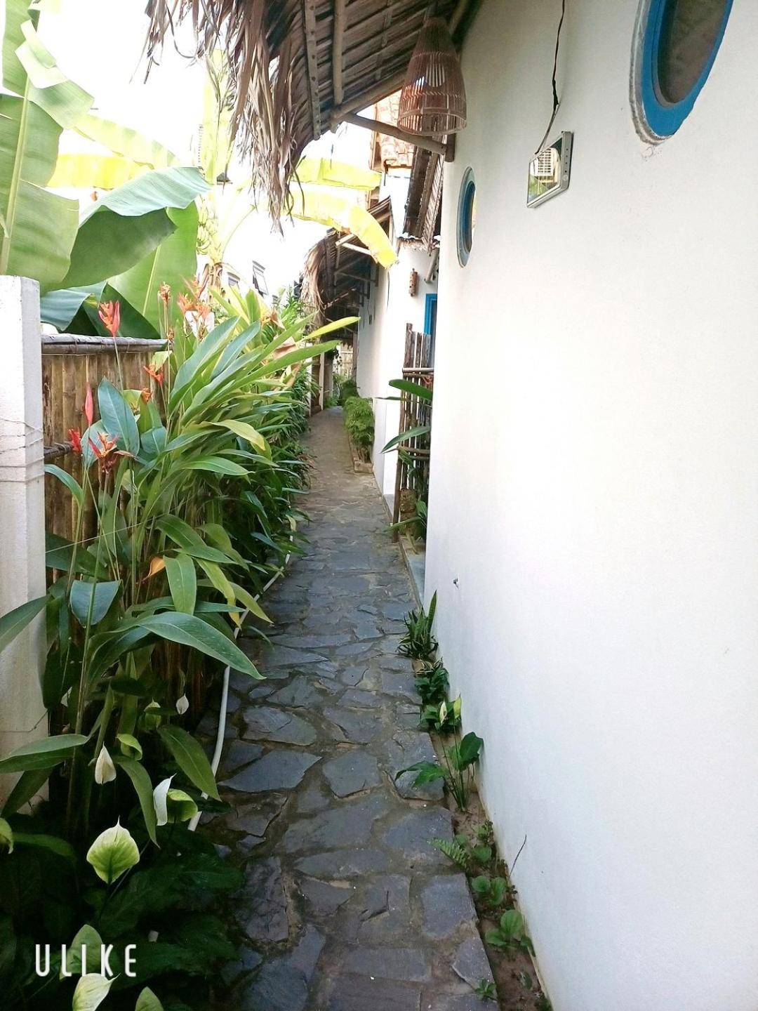 Cashew Tree Bungalow Hội An Kültér fotó