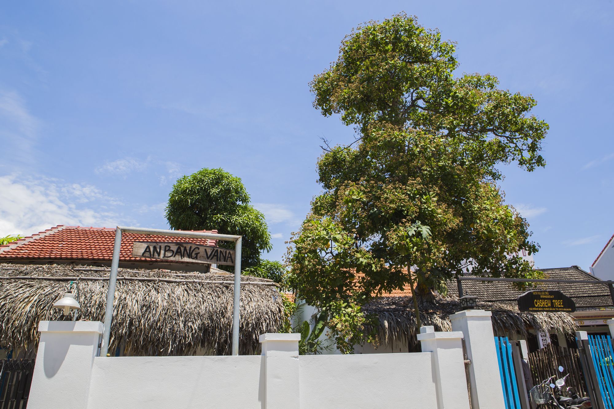 Cashew Tree Bungalow Hội An Kültér fotó