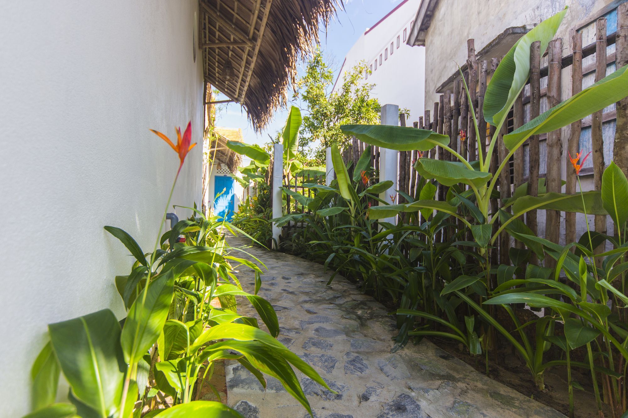 Cashew Tree Bungalow Hội An Kültér fotó